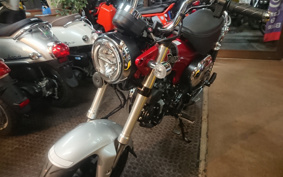HONDA  DUX 125 JB04