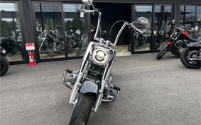 HARLEY  HARLEY FLFBS 2021 YGK