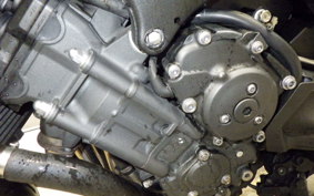YAMAHA FZ1 FAZER 2013 RN21J