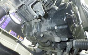 HONDA GROM JC61