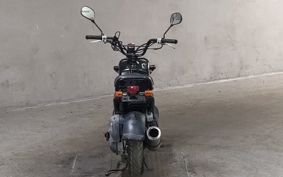 HONDA ZUMAR AF58