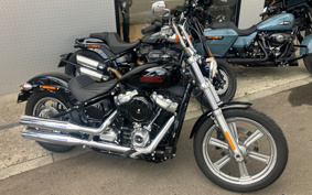 HARLEY FXST1340-1450 2023 BVJ