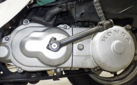 HONDA GIORNO AF24