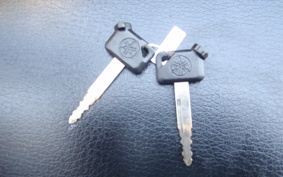 YAMAHA VOX Deluxe LTD SA31J