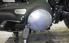 HARLEY XL883N 2016