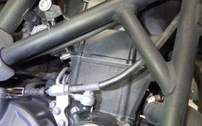KAWASAKI NINJA 250 SL 2022 BX250A