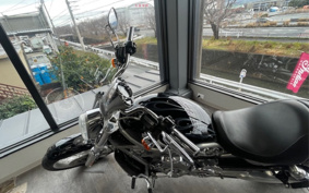HARLEY VRSCAW 2008 HKH
