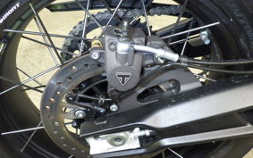 TRIUMPH TIGER 900 RALLY PRO 2024