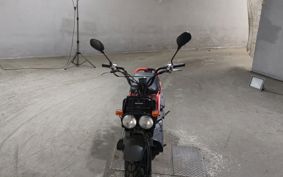 HONDA ZUMAR AF58