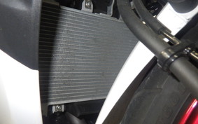 KAWASAKI NINJA 250 2021 EX250Y