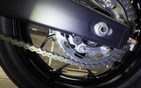 YAMAHA YZF-R3 2024