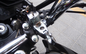 YAMAHA YBR125ED RE05