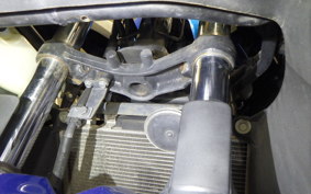KAWASAKI NINJA 250 EX250L