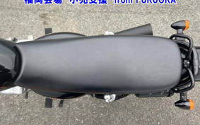 SUZUKI GLASS TRACKER BIG BOY