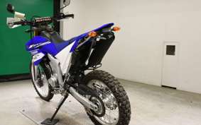 YAMAHA WR250R 2022 DG15J