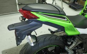 KAWASAKI NINJA 250 EX250L