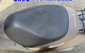 OTHER  DIO CESTA 3