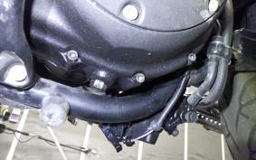 HARLEY XL883N 2010