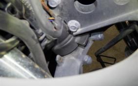 KAWASAKI NINJA 250R 2022 EX250K