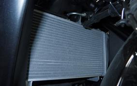 YAMAHA YZF-R25 A RG74J