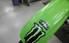 KAWASAKI KLX250 2022 LX250E