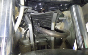 HONDA NSF100 HR01