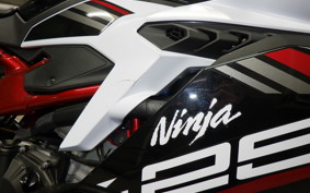 KAWASAKI ZX-25R ZX250E