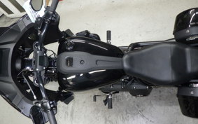 HARLEY FXLRST1920 2023