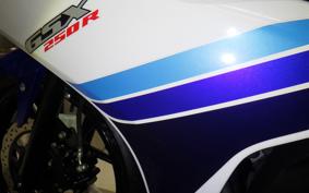 SUZUKI GSX250R