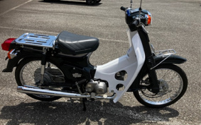 HONDA SUPER CUB50 C50