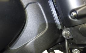 INDIAN Scout bobber 2021