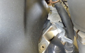 HONDA SHADOW 750 PHANTOM 2011 RC53