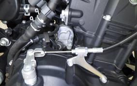 YAMAHA MT-25 RG43J