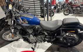 HARLEY RH975S NIGHT STAR 2023 ZF1