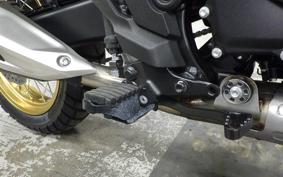 HONDA TRANSALP XL750 2025 RD16