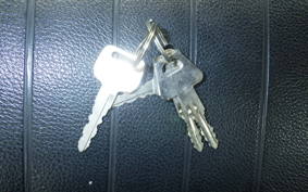 KAWASAKI 250TR 2021 BJ250F