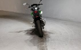 KAWASAKI Z250 SL BR250E