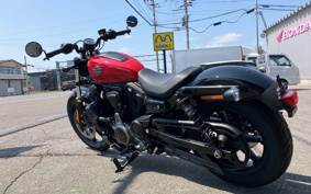 HARLEY  HARLEY RH975 NIGHT  STAR  2024 ZH1