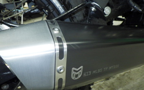 OTHER UNREGISTERED MODEL by BDS250 2014