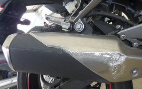 KAWASAKI NINJA 250 EX250L