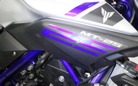 YAMAHA MT-25 2021 RG10J