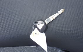 KAWASAKI NINJA 250 EX250P