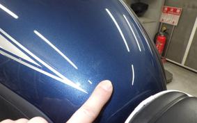 KAWASAKI W800 2025 EJ800E