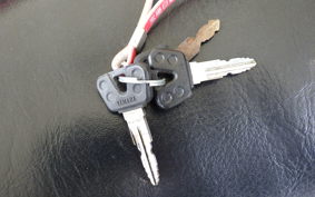 YAMAHA TW200 2016 2JL