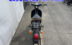 OTHER  LITTLE CUB -E FI