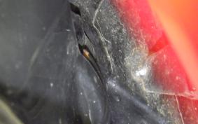 HONDA GYRO CANOPY TA03