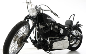HARLEY FXST 2004 BHY
