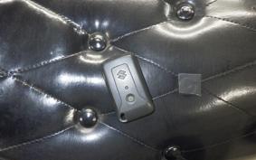 SUZUKI SKYWAVE 250 (Burgman 250) S Gen.3 CJ46A