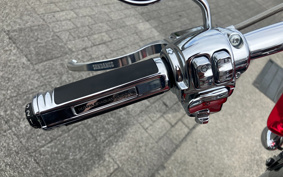 HARLEY FLI HYDRA-GLIDE 2024 BCK