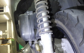 HONDA FORESIGHT EX MF04